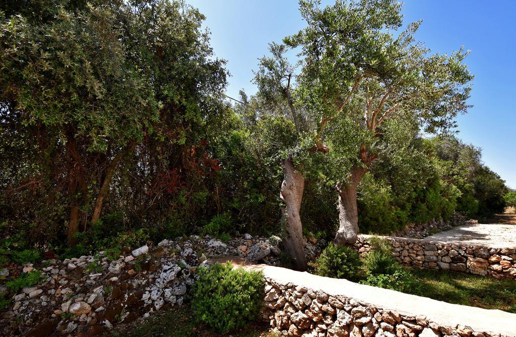 Masseria Pitanni Gallipoli Bagian luar foto